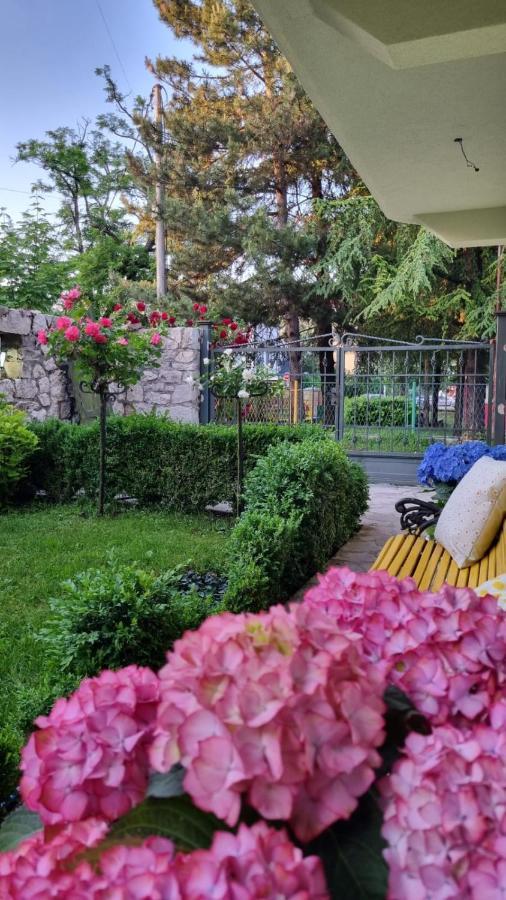 Apartman L&M Cetinje Buitenkant foto
