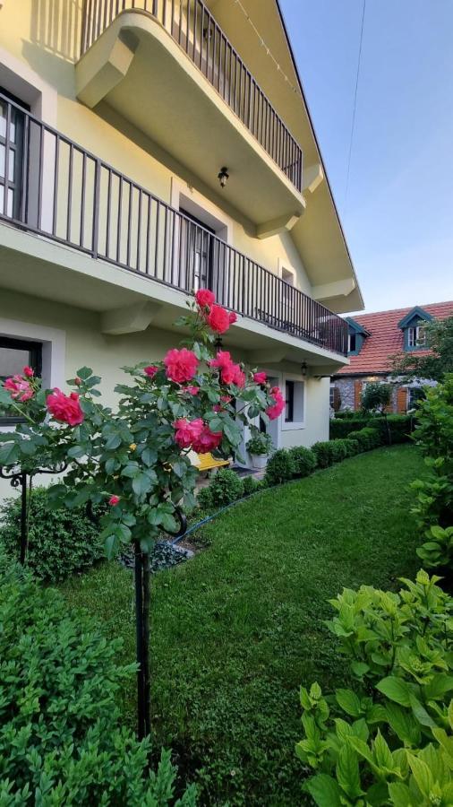 Apartman L&M Cetinje Buitenkant foto