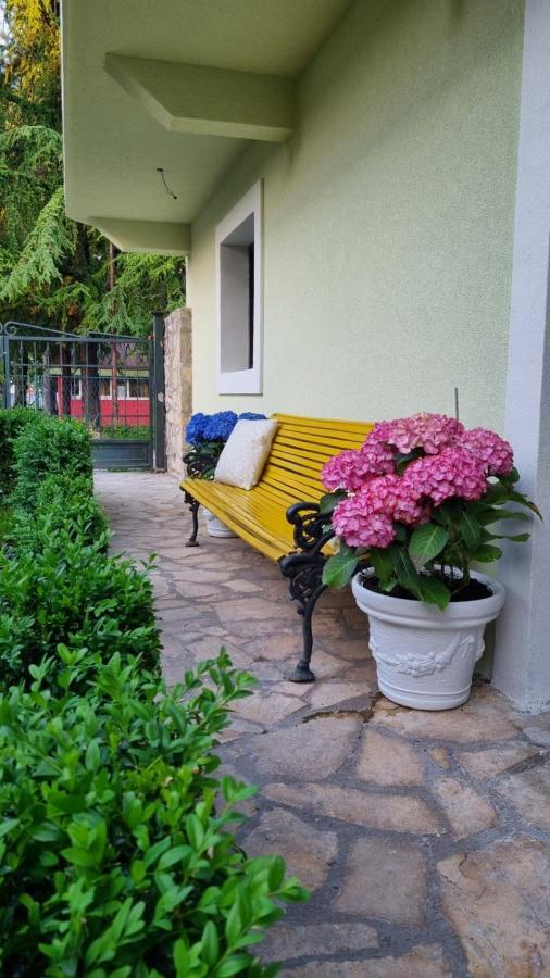 Apartman L&M Cetinje Buitenkant foto