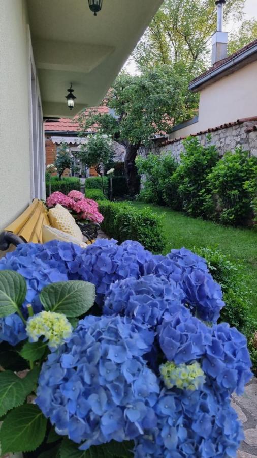 Apartman L&M Cetinje Buitenkant foto