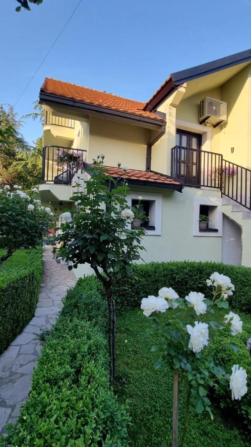 Apartman L&M Cetinje Buitenkant foto